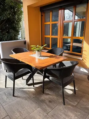 a wooden table with chairs and a potted plant on a patio at SISSI Apartment Banovci in Veržej