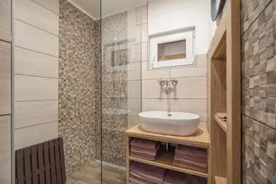 a bathroom with a sink and a glass shower at Chalet Fridrihštajn in Kočevje