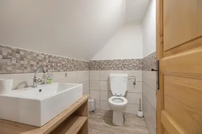 a bathroom with a white sink and a toilet at Chalet Fridrihštajn in Kočevje