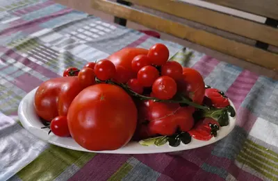 a plate of tomatoes on top of a table at Apartma Sunside in Branik
