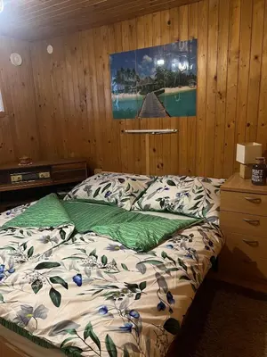 a bed in a room with a picture on the wall at Cosy apartment in Ljubljana in Šentvid