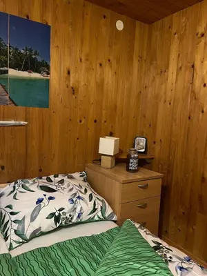 a bedroom with a bed and a wooden wall at Cosy apartment in Ljubljana in Šentvid