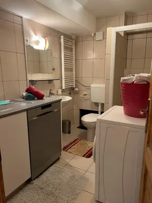 a small bathroom with a toilet and a sink at Cosy apartment in Ljubljana in Šentvid