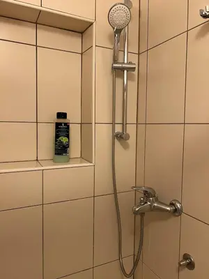 a shower with a shower head in a bathroom at Cosy apartment in Ljubljana in Šentvid