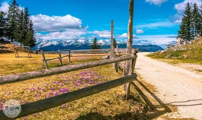 a fence next to a dirt road with flowers at Guest house 902 Črnivec in Gornji Grad