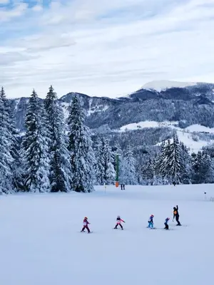 a group of people skiing down a snow covered slope at Lamant Apartment Cerkno in Cerkno