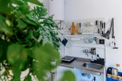 a small kitchen with a sink and a plant at Central Garden Studio in Ljubljana