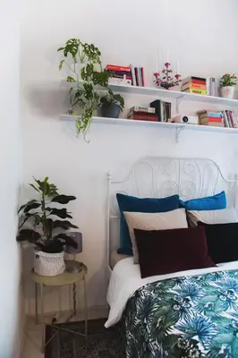 a bedroom with a bed with plants on shelves at Central Garden Studio in Ljubljana