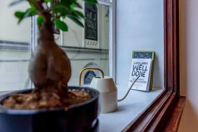 a plant sitting in a bowl on a window sill at Central Garden Studio in Ljubljana
