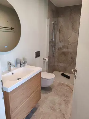a bathroom with a sink and a toilet and a shower at Sitara's Chalet in Bled