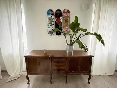 a potted plant on a wooden cabinet with skateboards on the wall at Manca's Apartment with Free Parking in Ljubljana