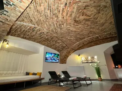 a living room with a brick ceiling and a couch at Celje Spa Apartment in Celje
