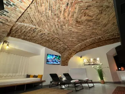 a living room with a brick ceiling and a couch at Celje Spa Apartment in Celje