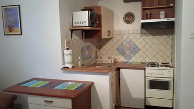 a small kitchen with a stove and a microwave at Apartments Ručna in Kobarid