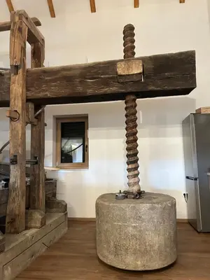 a large wooden structure in a room with a refrigerator at Borl Apartment in Gradišča
