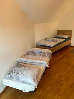 two twin beds in a room with wooden floors at Borl Apartment in Gradišča