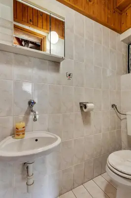 a bathroom with a sink and a toilet at Urban Escape Cottage in Ljutomer