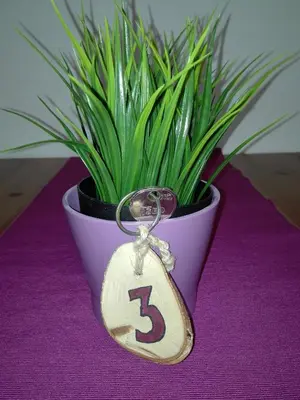 a tag with a number on it next to a potted plant at Apartments Grudnik in Kranjska Gora