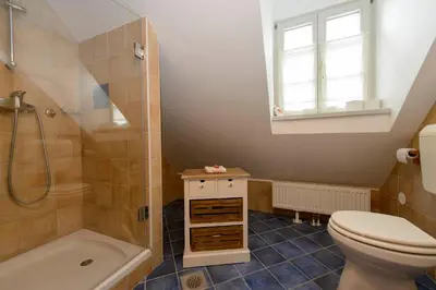 a bathroom with a toilet and a shower and a sink at Rustic House 13 in Bohinj