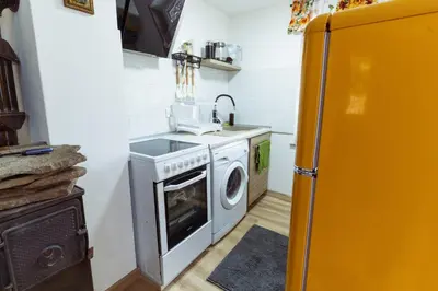 a kitchen with a stove and a washing machine at Apartment Grič with Sauna in Stari Trg pri Ložu