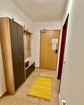 a hallway with a door and a yellow rug at Sunflower Apartment Moravske Toplice in Moravske Toplice