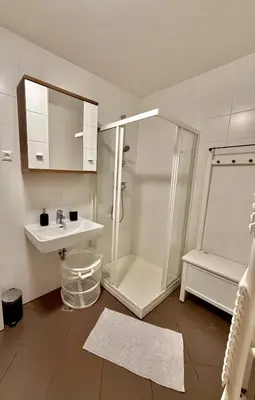 a white bathroom with a shower and a sink at Sunflower Apartment Moravske Toplice in Moravske Toplice