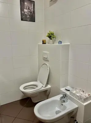 a white bathroom with a toilet and a sink at Sunflower Apartment Moravske Toplice in Moravske Toplice