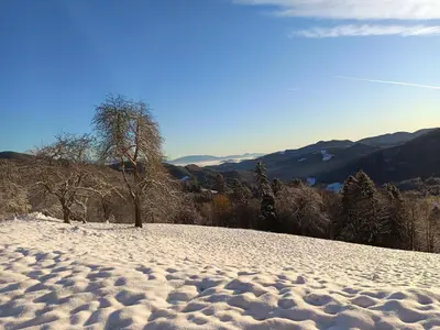 a snow covered hill with trees and mountains in the background at Turistična kmetija Okršlan in Škofja Loka