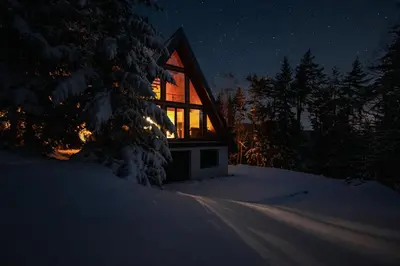 a cabin in the woods at night in the snow at Pohorska Gozdna Vila in Pohorje