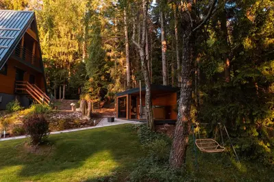 a house in the woods with a tree at Pohorska Gozdna Vila in Pohorje