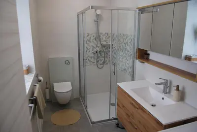 a bathroom with a shower and a sink and a toilet at Apartma Rače in Rače