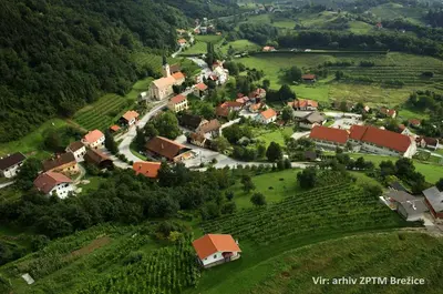 an aerial view of a small village in a green field at Apartment House Sumrak in Bizeljsko