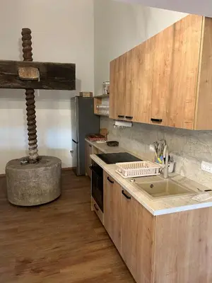 a kitchen with a sink and a stove top oven at Ana&Borl House in Gradišča