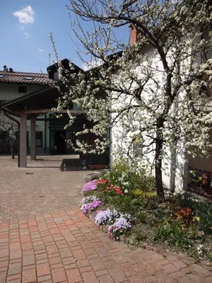 a tree with white flowers next to a building at Fedrig Private Rooms & Apartment in Kobarid