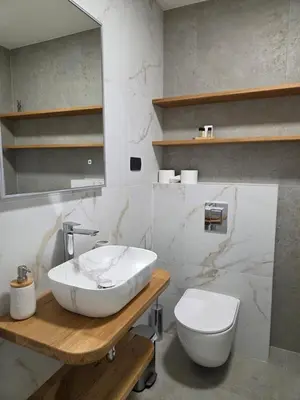 a bathroom with a white sink and a toilet at Vila Natalia in Kranjska Gora