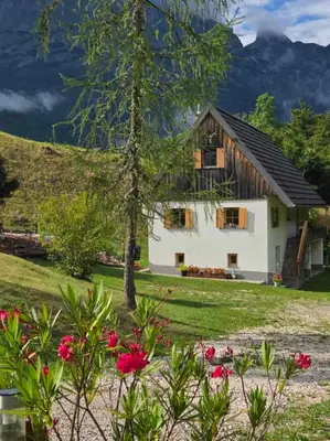 a house in the mountains with flowers in the foreground at Chalet Vrsnik Hideaway in Soča