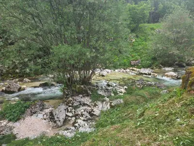 a river with a tree and rocks in a field at Chalet Vrsnik Hideaway in Soča