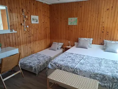 two beds in a room with wooden walls at Prenočišče Breza in Radovljica