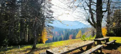 two wooden benches in a field with trees and a lake at Počitniška hiša Alica in Črna na Koroškem