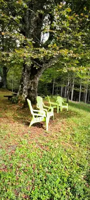 two green park benches sitting under a tree at Počitniška hiša Alica in Črna na Koroškem