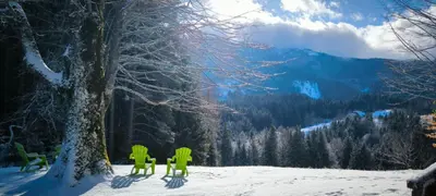 two green chairs in the snow next to a tree at Počitniška hiša Alica in Črna na Koroškem