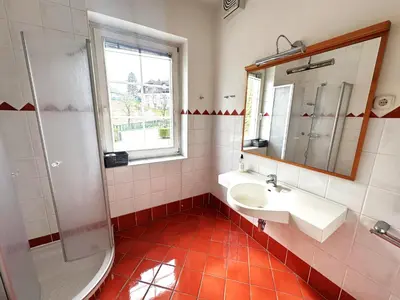 a bathroom with a sink and a shower at Apartma Angela Bled in Bled