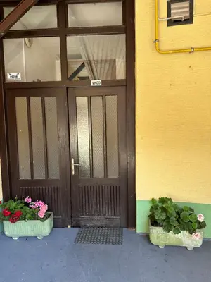 two potted plants sitting in front of a door at Soba Pri Kosu in Slovenska Bistrica
