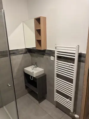 a bathroom with a sink and a mirror at Apartmaji Despotoski Mojstrana in Mojstrana