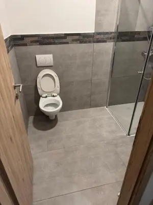 a bathroom with a toilet and a glass door at Apartmaji Despotoski Mojstrana in Mojstrana