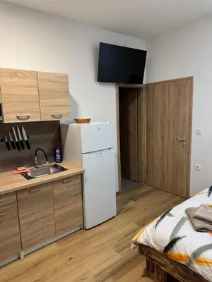a kitchen with a sink and a white refrigerator at Apartmaji Despotoski Mojstrana in Mojstrana