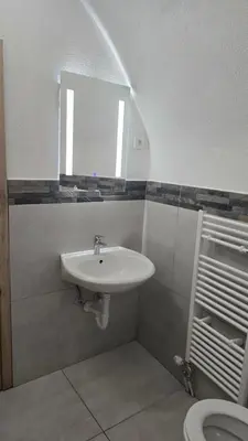a bathroom with a sink and a toilet at Apartmaji Despotoski Mojstrana in Mojstrana