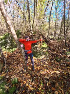 a boy is standing in a tree in the woods at Princess Mojca Holiday House in Bled
