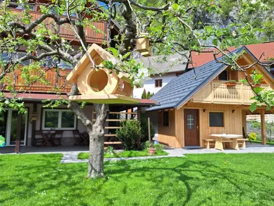 a birdhouse on a tree in front of a house at Princess Mojca Holiday House in Bled