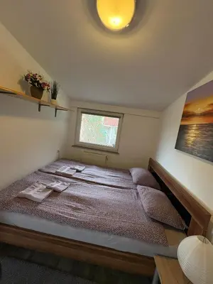 a bedroom with a large bed in a room at Apartma Vinko in Ljubljana